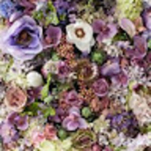 Meet your Posher, Brenda s